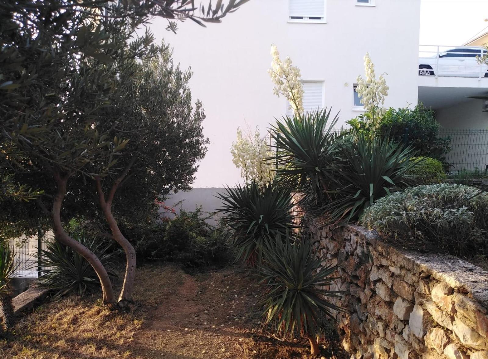 Apartment Franjo Senj  Luaran gambar