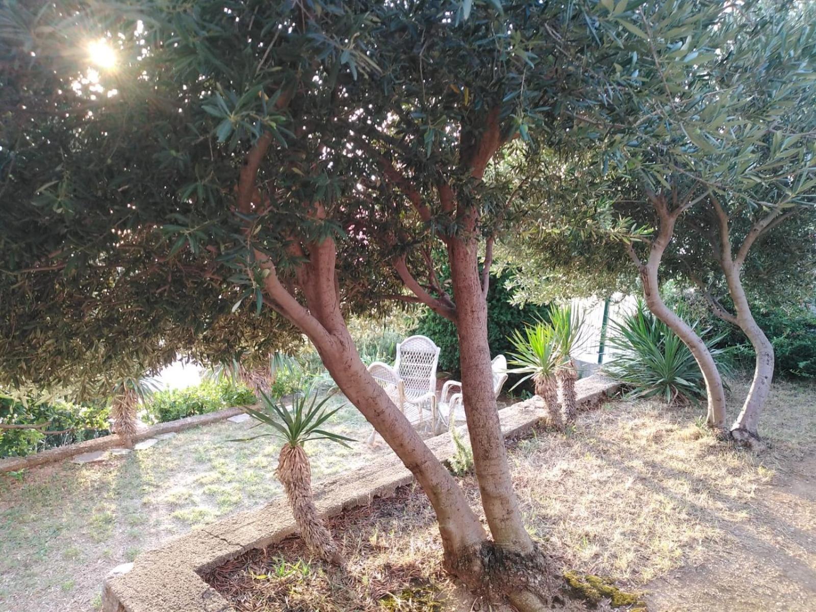 Apartment Franjo Senj  Luaran gambar